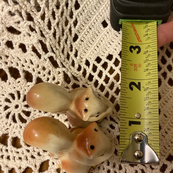 Vintage Squirrel Salt and Pepper Shakers - Roy Acuff’s Dunbar Cave - Picture 13 of 15